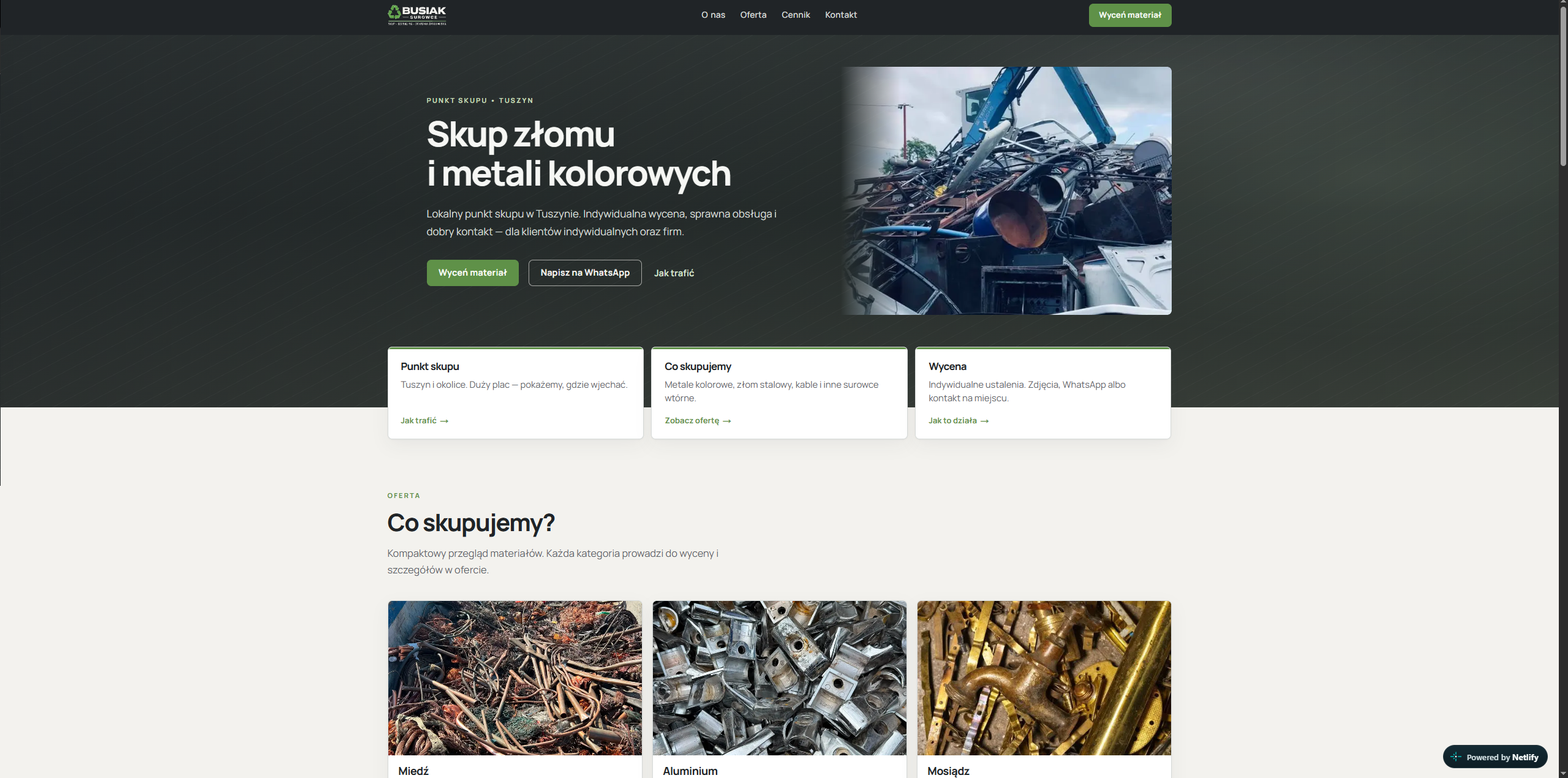 Strona internetowa Busiak Surowce
